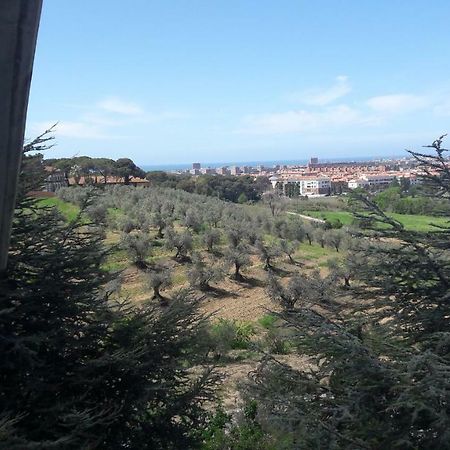 Dolci Ricordi Appartement Livorno Buitenkant foto