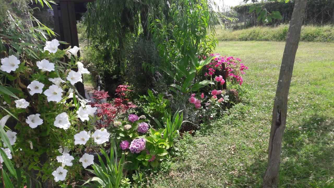 Dolci Ricordi Appartement Livorno Buitenkant foto