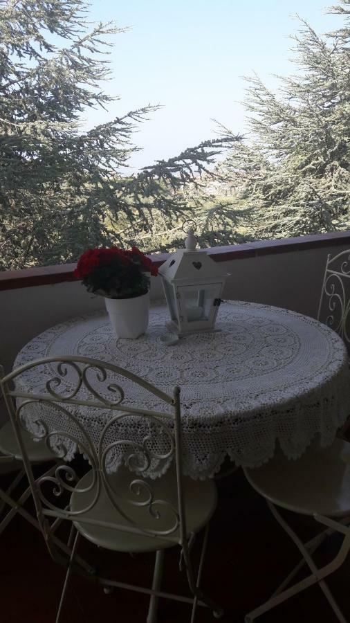 Dolci Ricordi Appartement Livorno Buitenkant foto